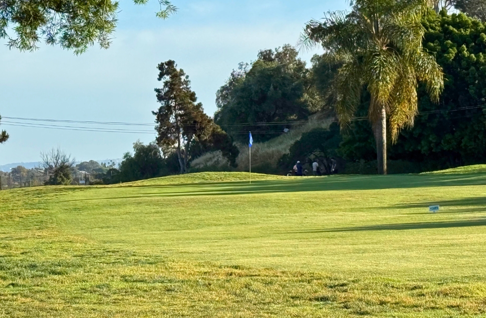 Golf green with blue flag and palm tree at National City Golf Course, golfers visible near the pin