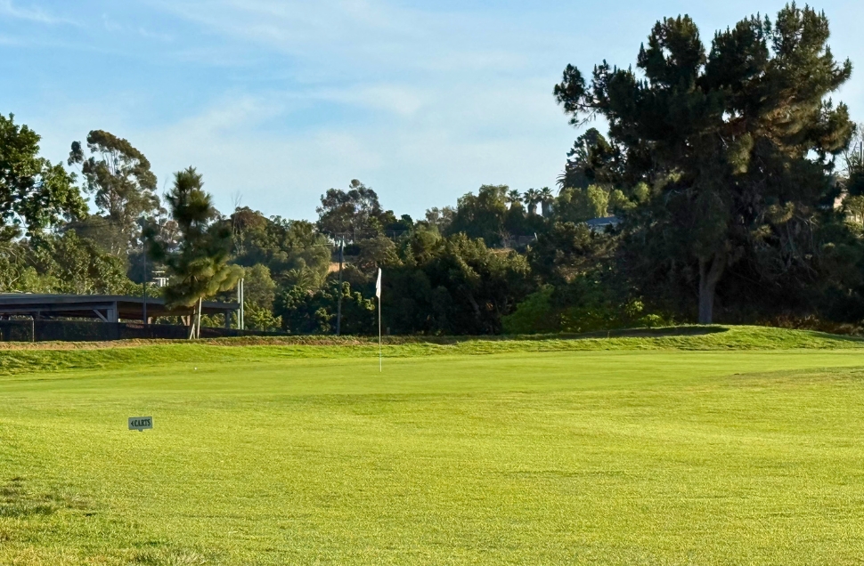 Golf green with white flag at National City Golf Course, cart bridge and tree line in background